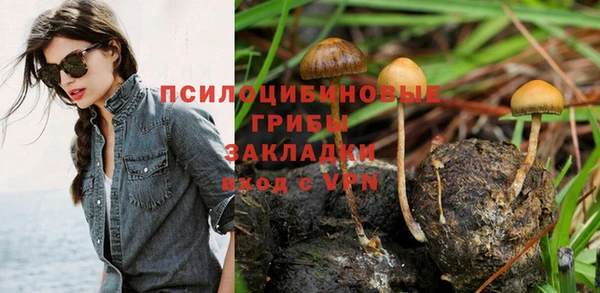 прущие грибы Нефтегорск