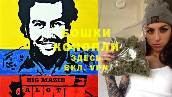 дмт Надым