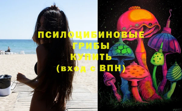 гидра Воткинск